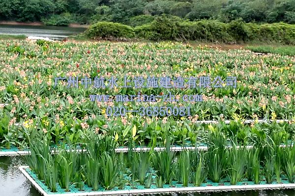生态浮岛 生态浮床 广州中航水上设施建造有限公司